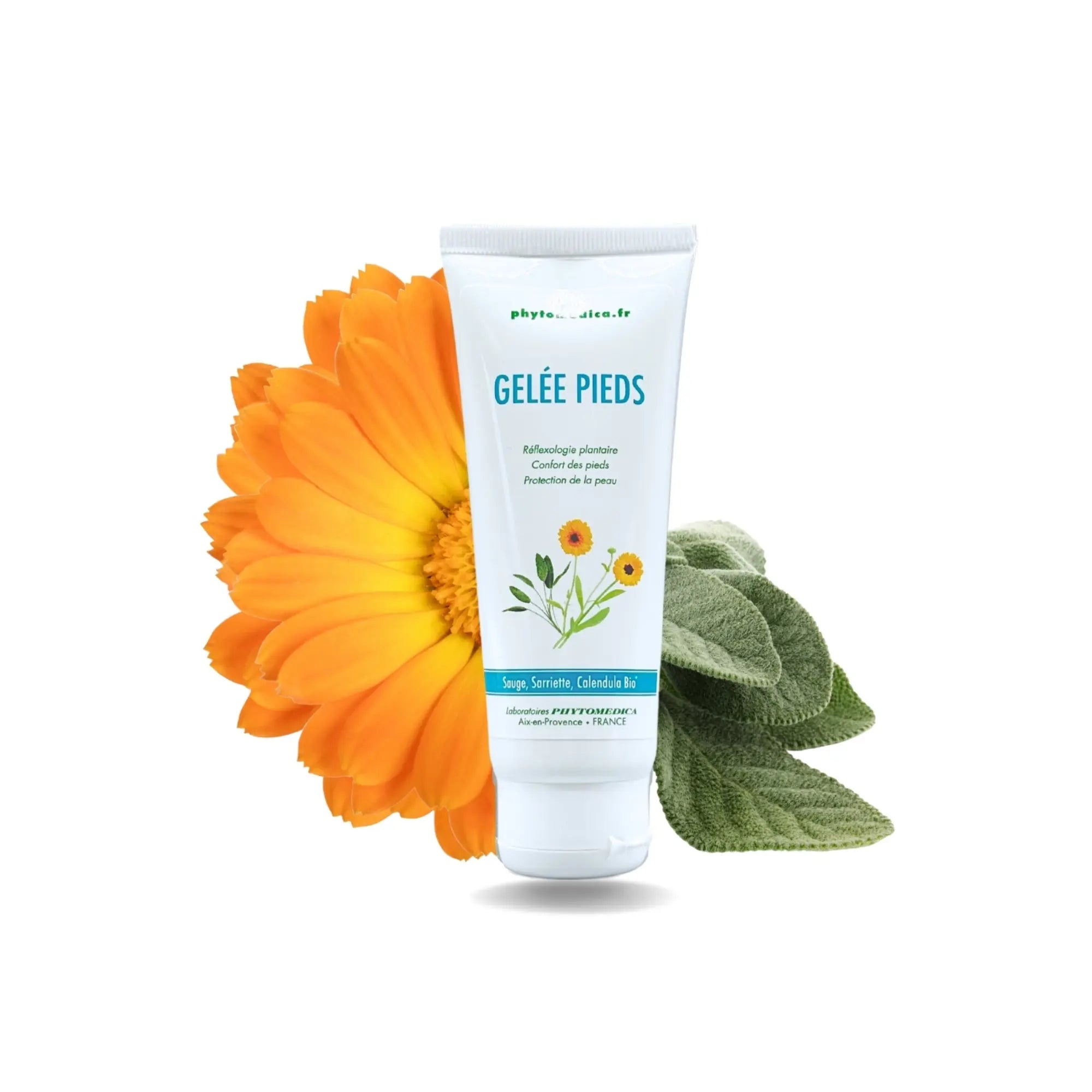 Gelée pieds sains hydratante - 75 ml - Phytomedica Laboratoires Phytomedica 