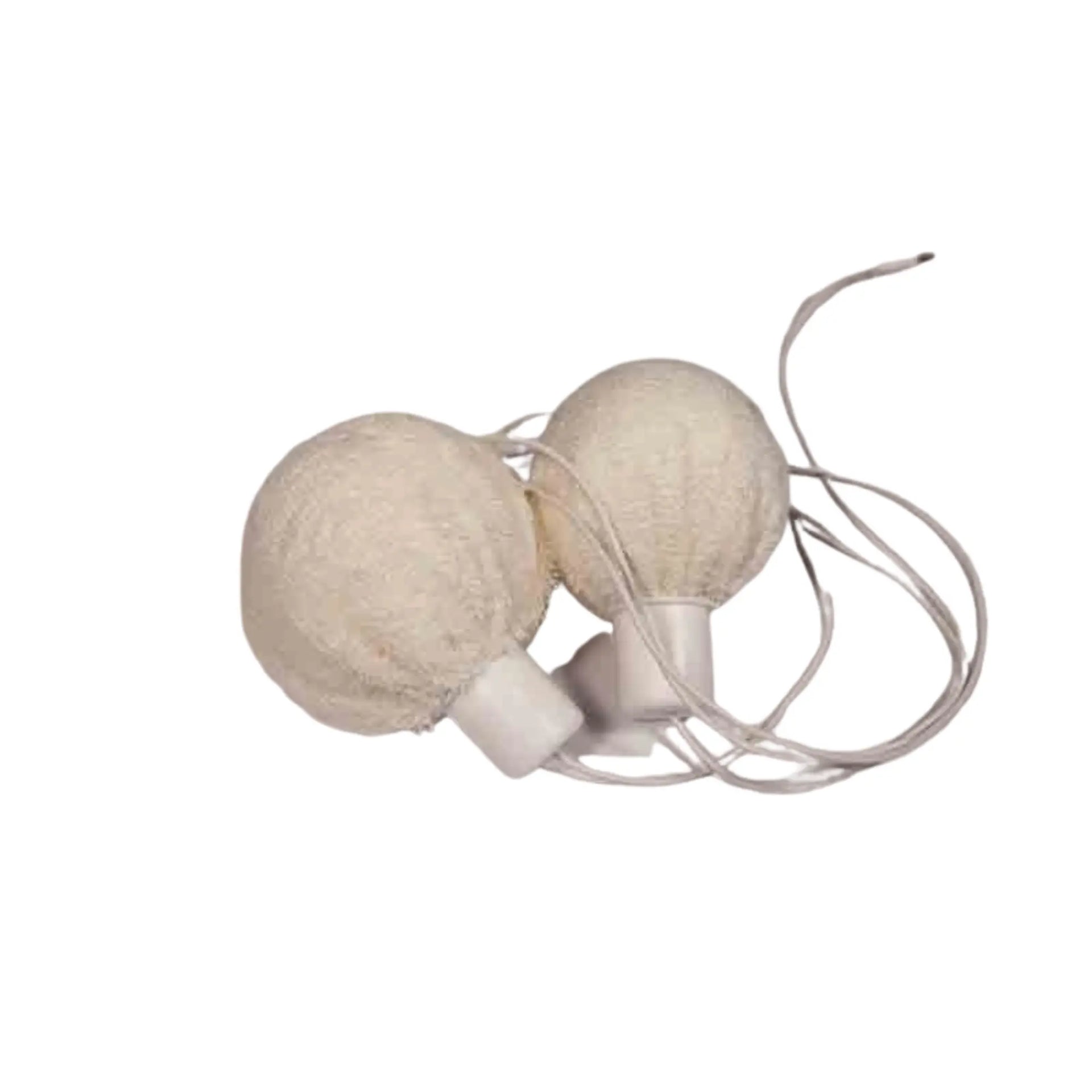 Kit Elettrodi Axilla compatibili con dispositivi per ionoforesi I2m.A - I2M Laboratoires I2M Laboratoires 