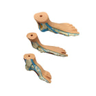 Set di 3 piedi anatomici