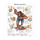 Tavola anatomica - Traumi sportivi