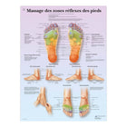 Tavola anatomica - Massaggio delle zone riflesse dei piedi