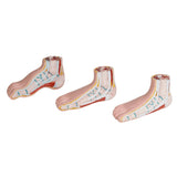 Serie di 3 mini piedi (fisiologico, piatto e cavo)