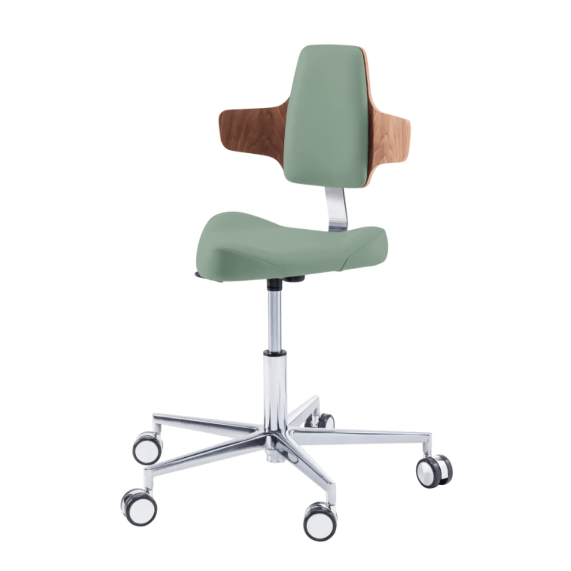 Siège praticien - TRIANGLE - Ruck - Ressort à Gaz Long Ruck  Sauge-Dossier-Napo-CPL-Noyer