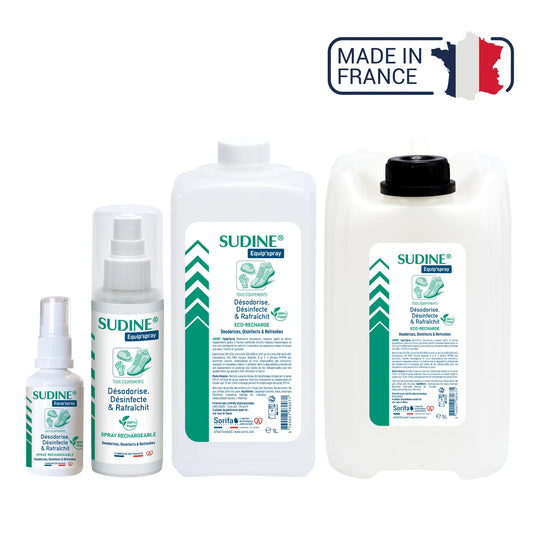 Sudine Equip'spray - Deodorante, battericida, fungicida per tutte le attrezzature
