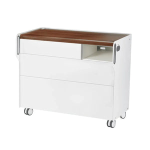 Unité de Podologie "Room Move" - Taille L - Ruck Ruck  Noyer-2-compartiment-micromoteur-à-droite-Cercle-X